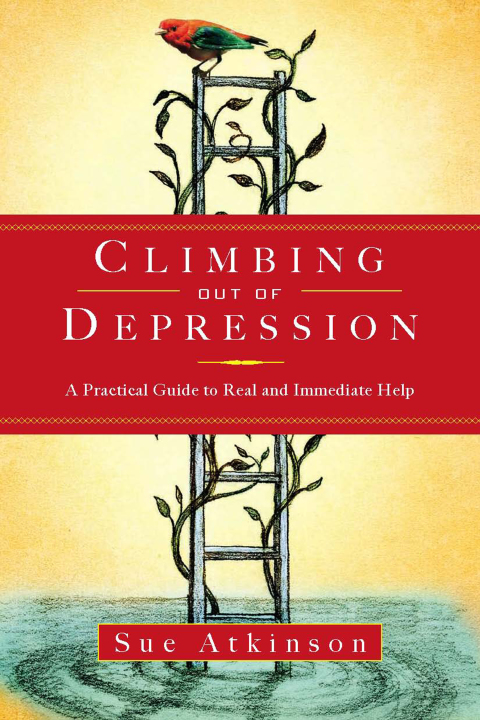 Climbing Out of Depression : A Practical Guide to Real and Immediate Help - FULL INSTANT DOWNLOAD | PDF DOCX EPUB