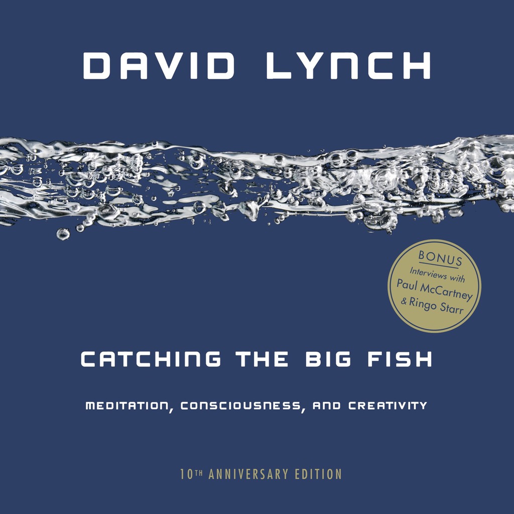 Catching the Big Fish eBook