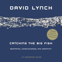 Cover image: Catching the Big Fish 9781585426126