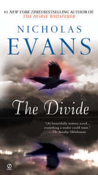Cover image: The Divide 9780451219299