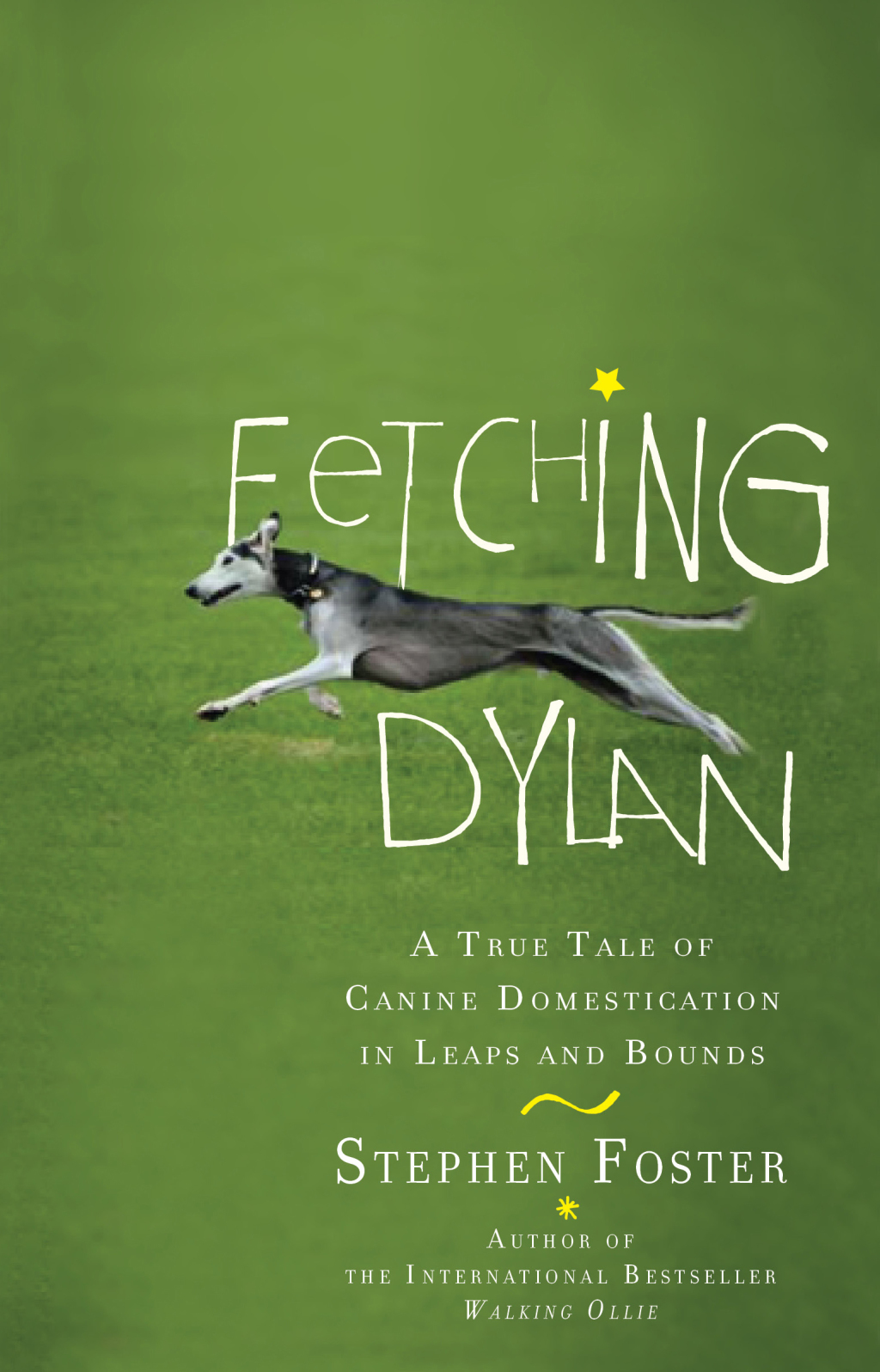 Fetching Dylan (eBook)