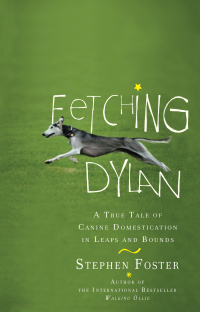 Cover image: Fetching Dylan 9780399535116
