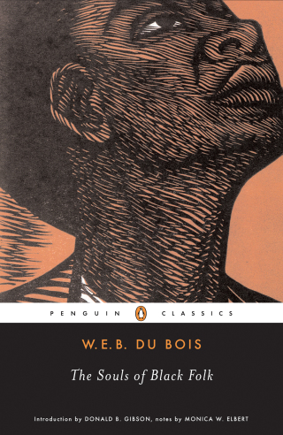 Cover image: The Souls of Black Folk 9780140189988