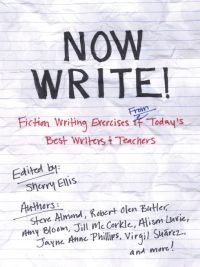 Cover image: Now Write! 9781585425228
