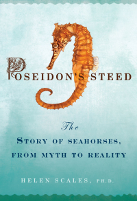 Cover image: Poseidon's Steed 9781592404742