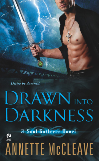 Cover image: Drawn Into Darkness 9780451227805