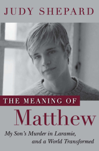 Cover image: The Meaning of Matthew 9781594630576