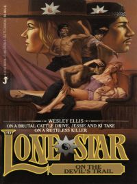 Cover image: Lone Star 20 9780515074369