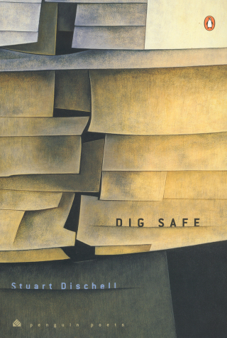 Cover image: Dig Safe 9780142002681