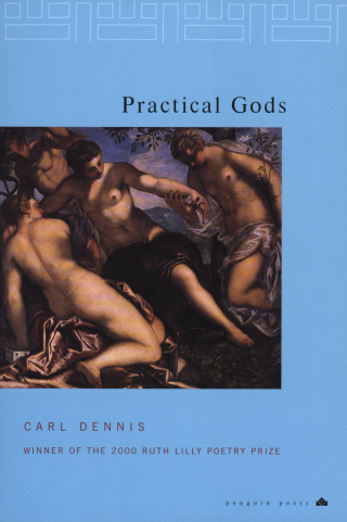 Cover image: Practical Gods 9780141002309
