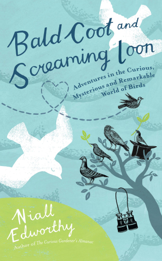 Cover image: Bald Coot and Screaming Loon 9780399535680