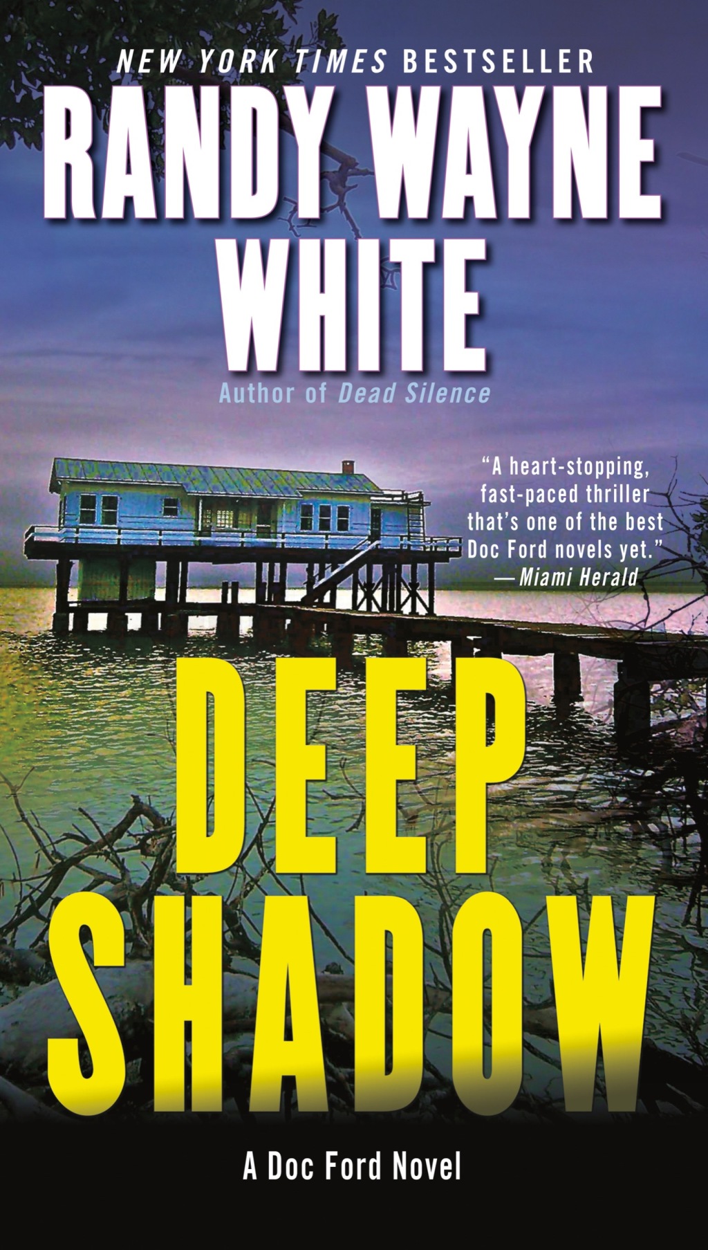 Deep Shadow (eBook)