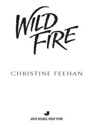 Cover image: Wild Fire 9780515147902