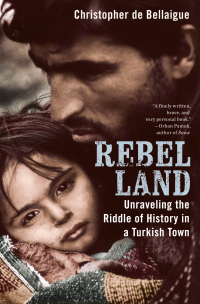 Cover image: Rebel Land 9781594202520