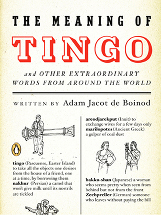 Cover image: The Meaning of Tingo 9780143038528