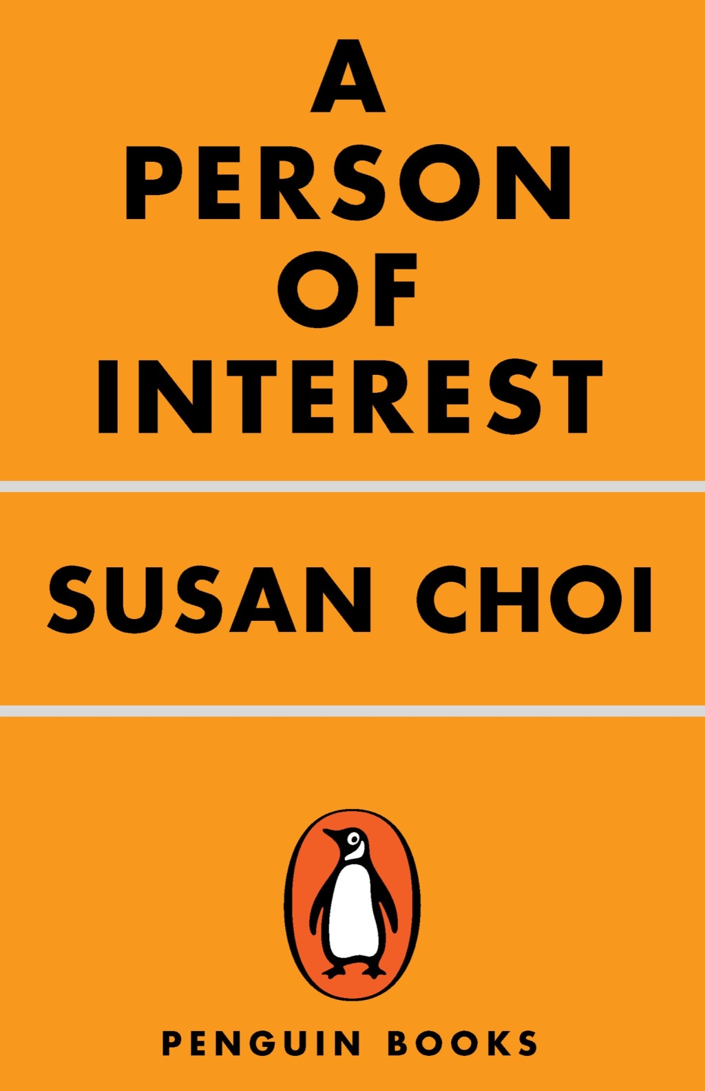 A Person of Interest (eBook)