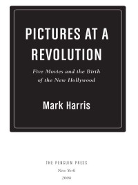 Cover image: Pictures at a Revolution 9781594201523