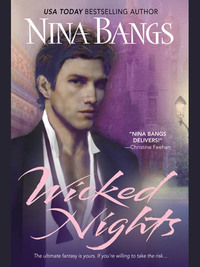 Cover image: Wicked Nights 9780425200322