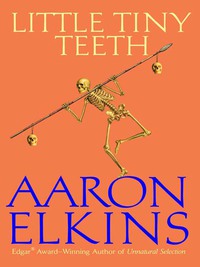 Cover image: Little Tiny Teeth 9780425215302