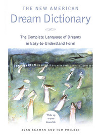 Cover image: The New American Dream Dictionary 9780451217479