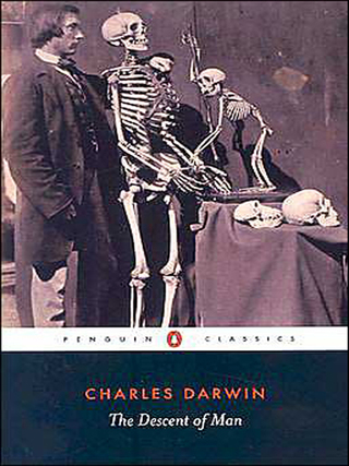 Cover image: The Descent of Man 9780452288881