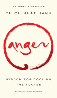 Cover image: Anger 9781573221870