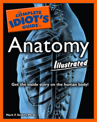 Cover image: The Complete Idiot's Guide to Anatomy, Illustrated 9781592577606