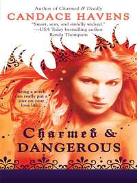 Cover image: Charmed & Dangerous 9780425219003