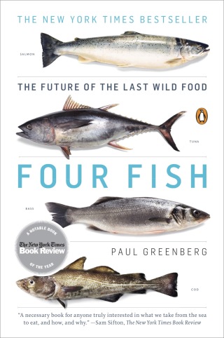 Cover image: Four Fish 1st edition 9781594202568