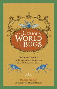 Cover image: The Curious World of Bugs 9780399536137