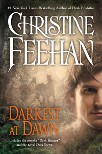 Cover image: Darkest at Dawn 9780425243251