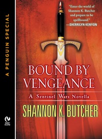 Cover image: Bound by Vengeance
