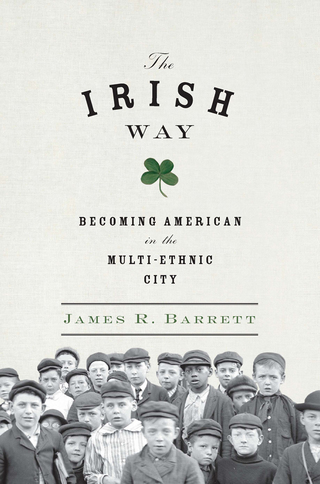 Cover image: The Irish Way 9781594203251
