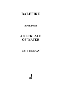 Cover image: A Necklace of Water 9781595140487