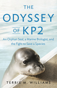 Cover image: The Odyssey of KP2 9781594203398