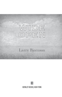 Cover image: Wide Open 9780425247488