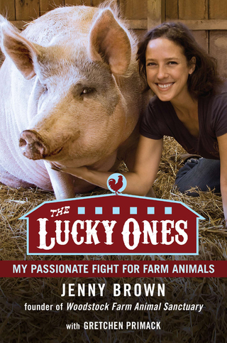 Cover image: The Lucky Ones 9781583334416