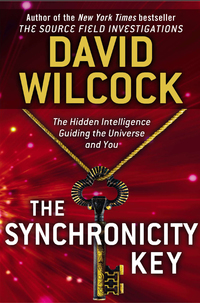 Cover image: The Synchronicity Key 9780525953678