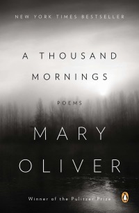 Cover image: A Thousand Mornings 9781594204777