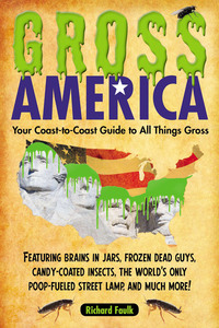 Cover image: Gross America 9781585429417