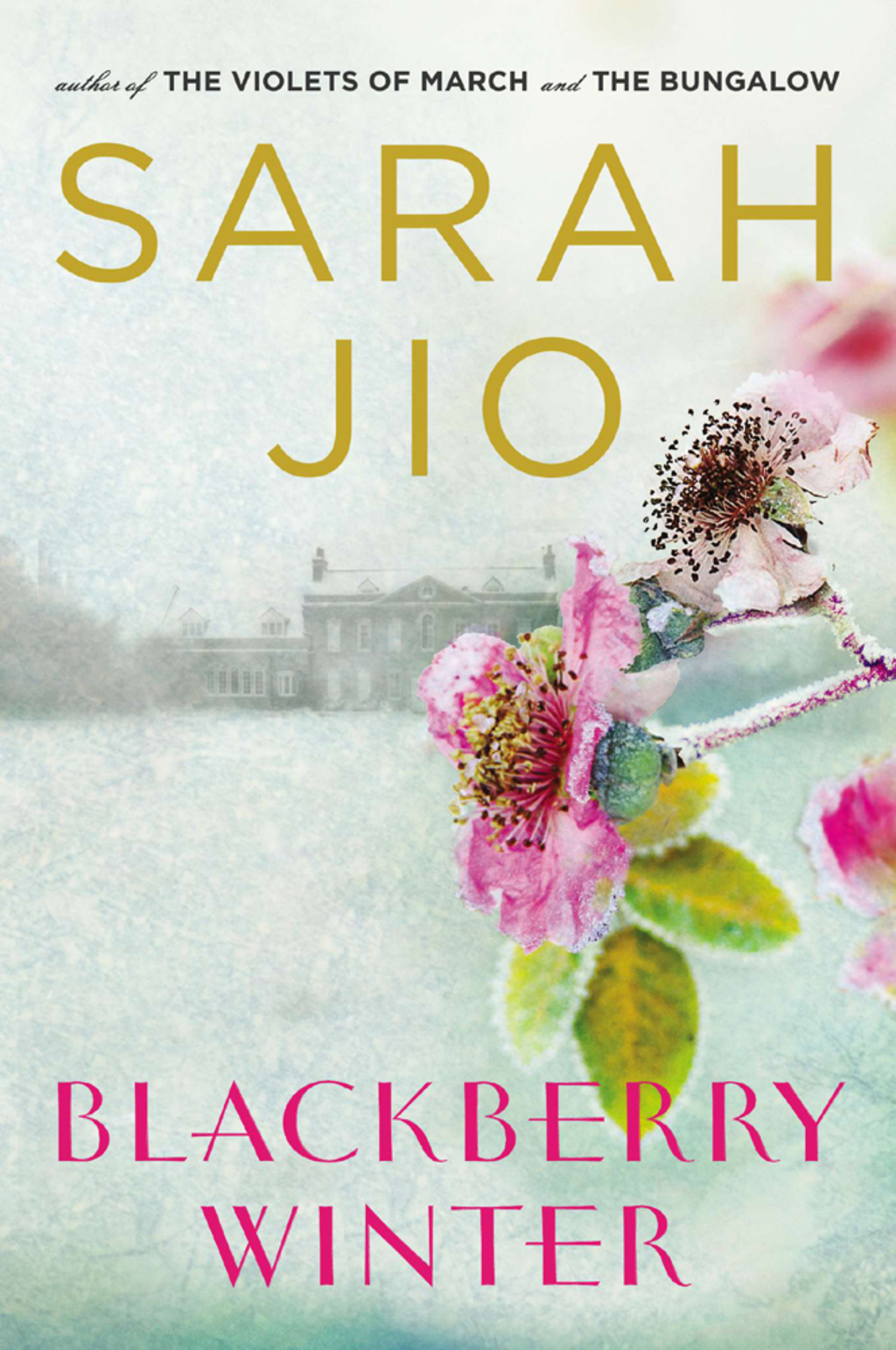Blackberry Winter eBook