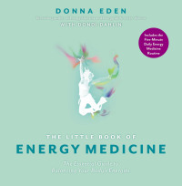 Cover image: The Little Book of Energy Medicine 9781585429318