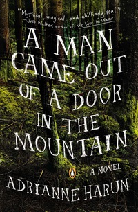 Cover image: A Man Came Out of a Door in the Mountain 9780670786107