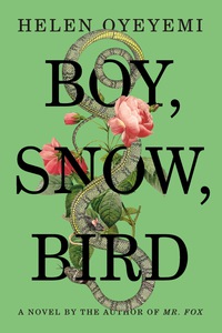 Cover image: Boy, Snow, Bird 9781594631399