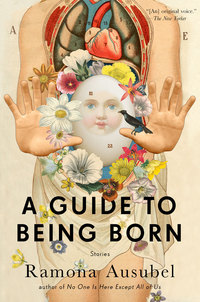 Cover image: A Guide to Being Born 9781594487958