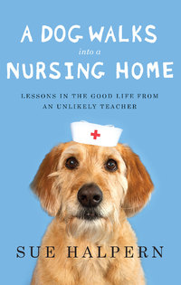 Cover image: A Dog Walks Into a Nursing Home 9781594487200