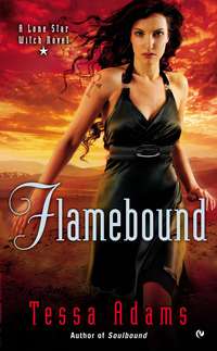 Cover image: Flamebound 9780451415059