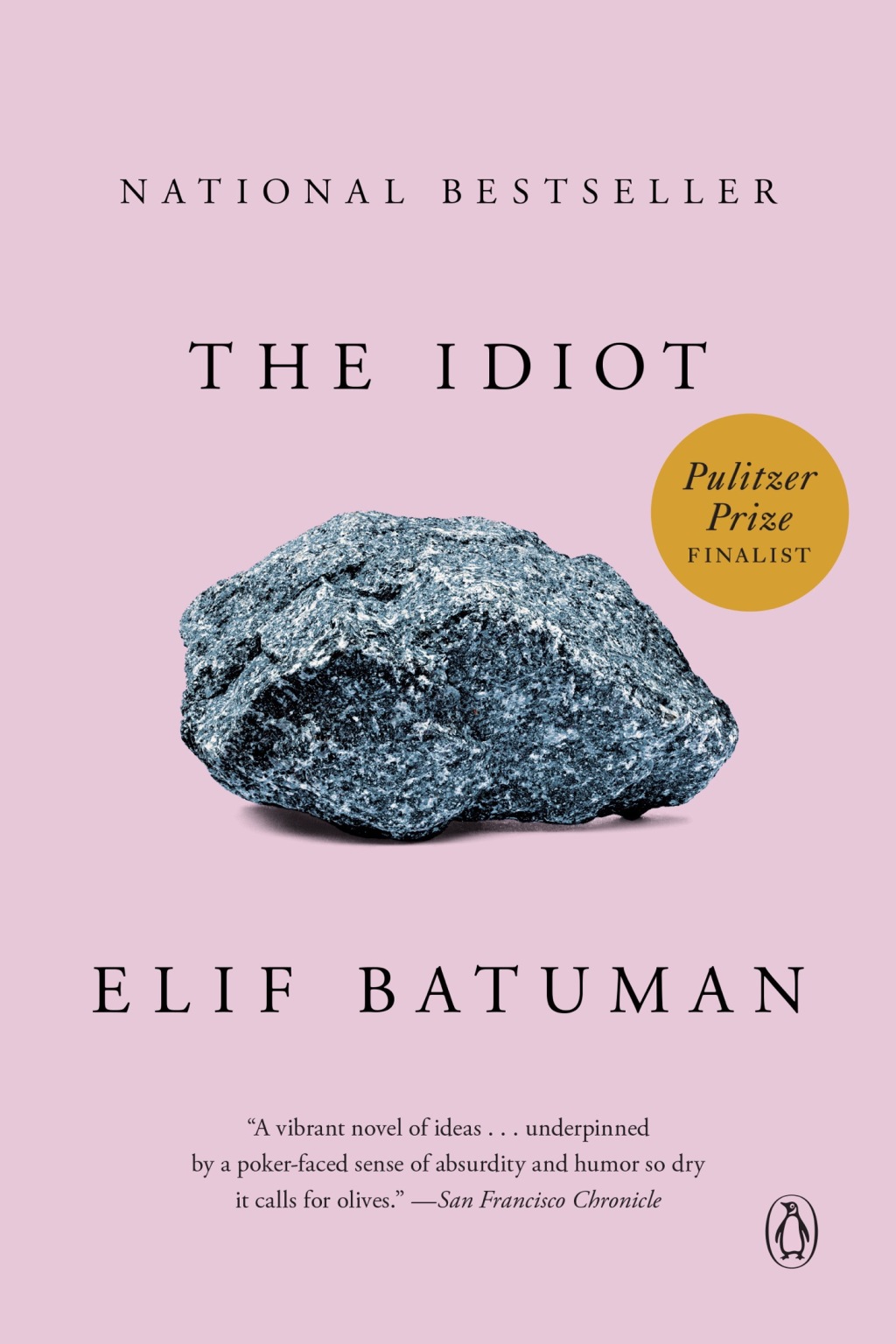 The Idiot eBook