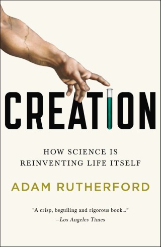 Cover image: Creation 9781617230059