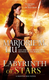 Cover image: Labyrinth of Stars 9781937007850
